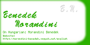 benedek morandini business card